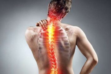 spinal-discs